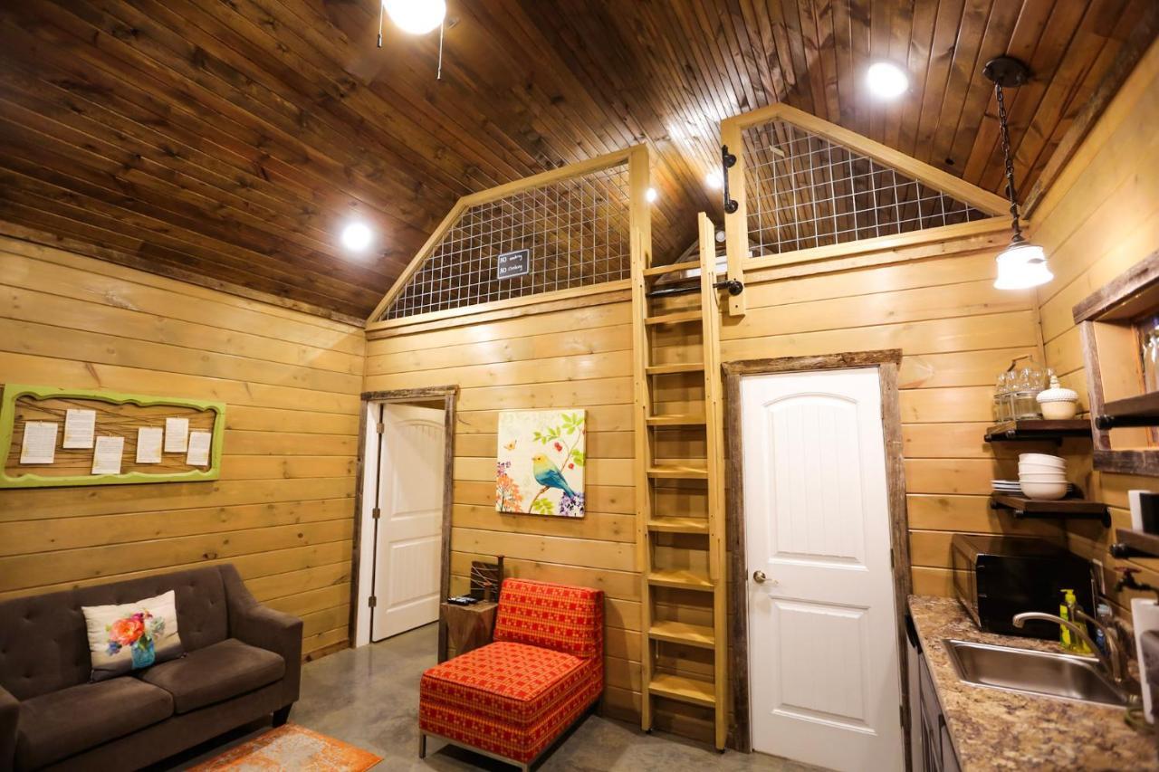 Knotty Squirrel Cabins Mountain View Exterior foto